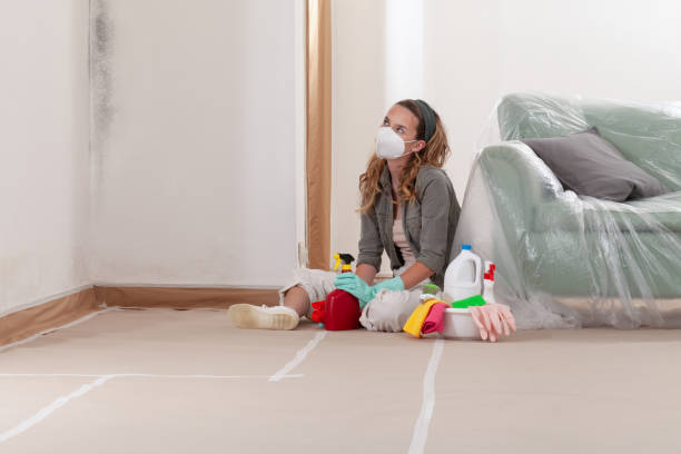 Reliable Mold Remediation contractor in Burlington, NC by Cheap Mold Removal