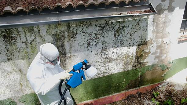 Top rated local Mold Remediation specialists in Burlington, NC